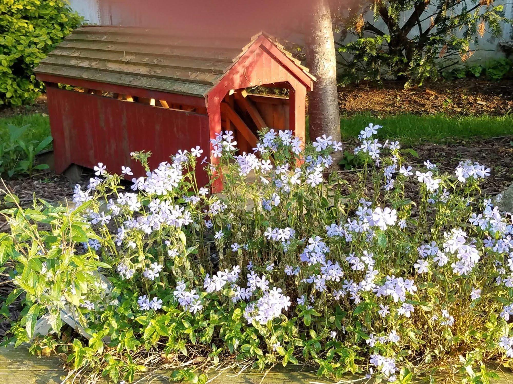 Gordonville Osceola Mill House Bed And Breakfast (Adults Only) מראה חיצוני תמונה